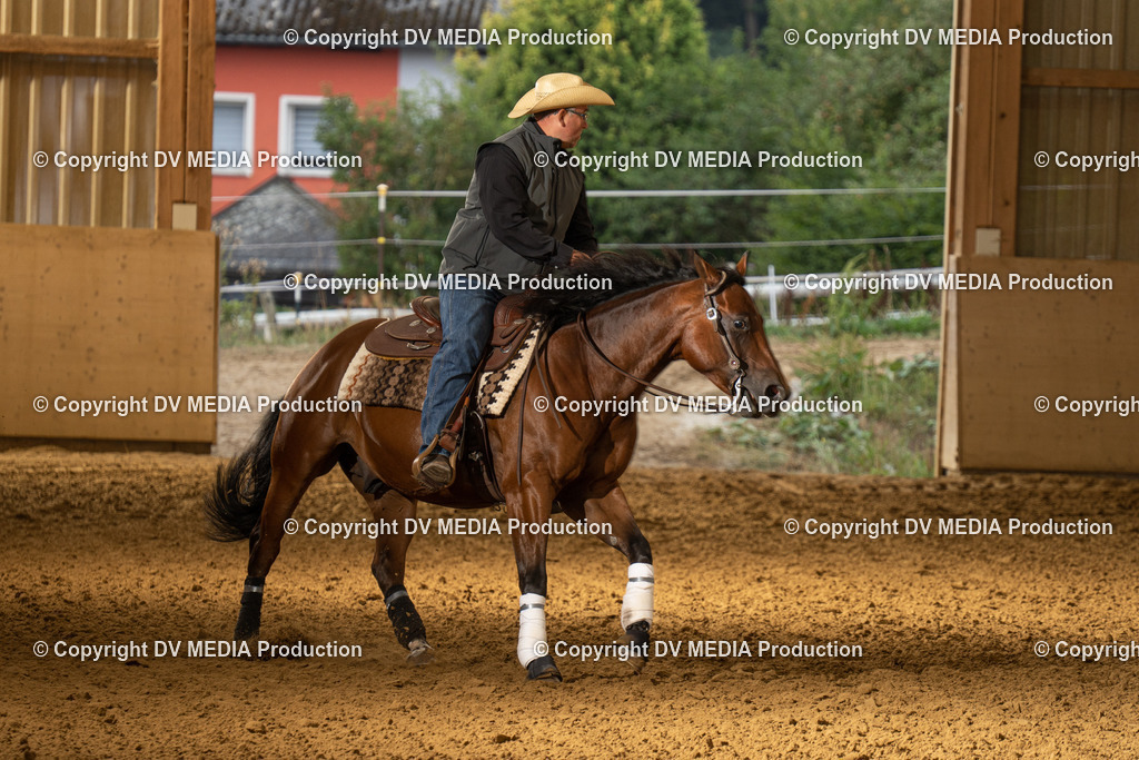 LAU01336 | dv-media-shop - Realisiert mit Pictrs.com