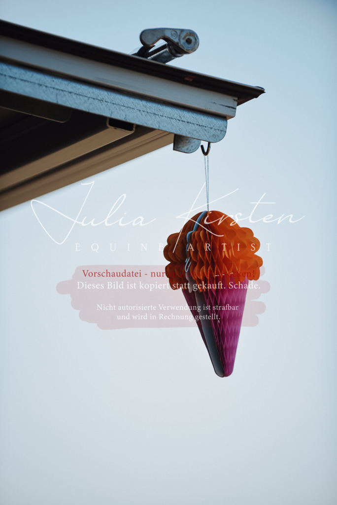 DSC_3391 | Pferde- und Turnierfotografie in Westsachsen. Pferdeportraits, Auftragszeichnungen und intuitive Kunst.