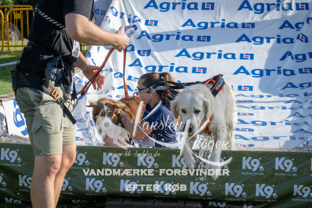 0923_ZZ95257 | kk-dogfotos