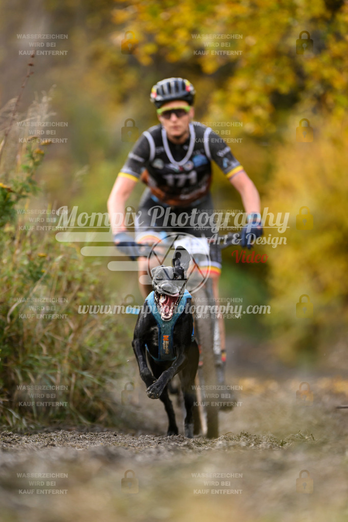 MompixPhotography_ICF_WC_2024_SA_Bike_-236 | PayLife