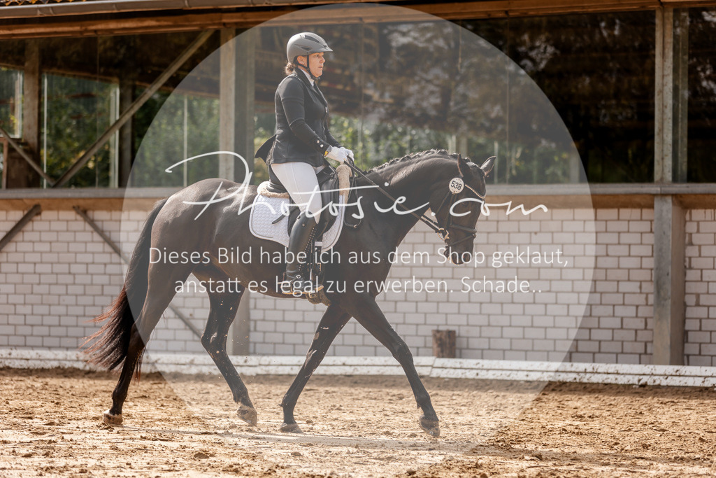 3I6A7320 | Stimmungsvolle Portraits und Reitsportfotografie im Ruhrgebiet und im Münsterland.

Pferdefotografie, Hundefotografie, Tierfotografie, Reportagen, Portraits von Tier und Mensch, Turnierfotografie in Bochum, Recklinghausen, Marl, Haltern am See, Dülmen.. - Realisiert mit Pictrs.com