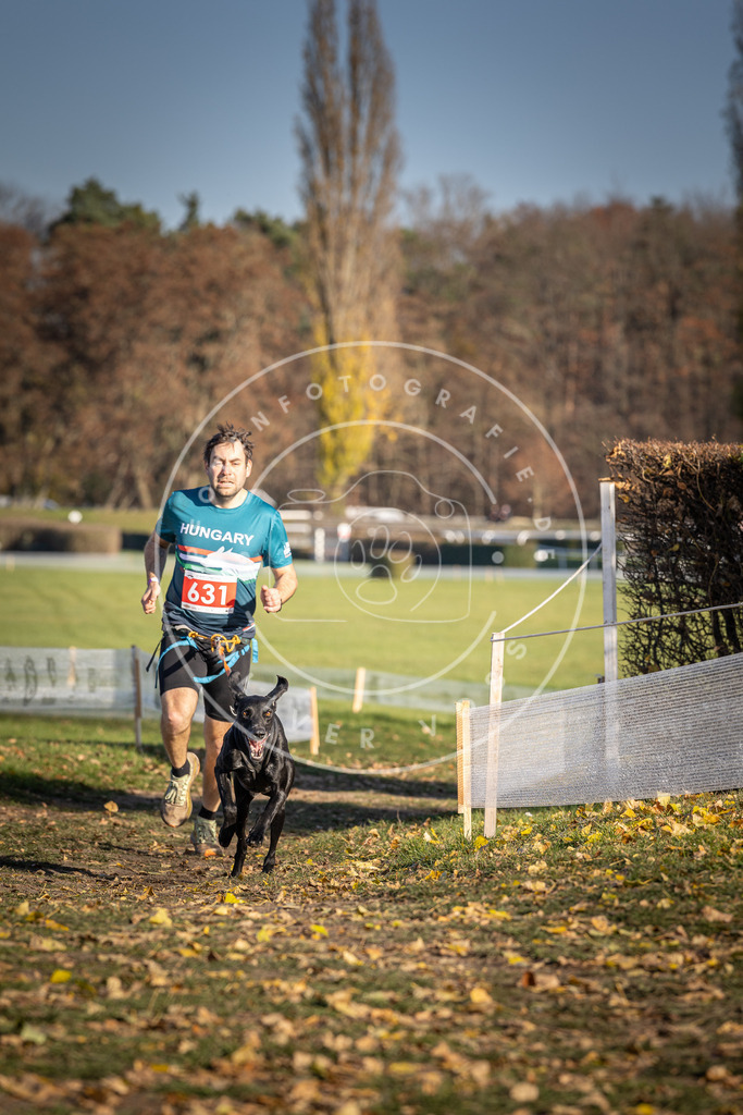 CaniXpix_DV3A0117 | Hundefotografie, Tierfotograf, Pfotenfotografie, Fotoshooting Hund, Hunde Portrait, Hundesport, Hundeportraits, Heideshooting, Hunde, Sportfotograf, Hundefotograf, Turnierhundsport, THS,  - Realisiert mit Pictrs.com