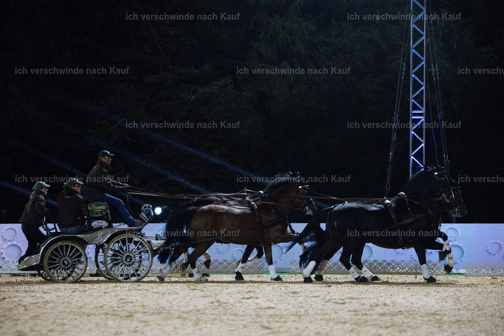 FHClassics-288 | working equitationturnier fotograf videograf stoibphotography marixx film working equitation deutschland reitsport turnierfotografie eventfotografie equestrian events