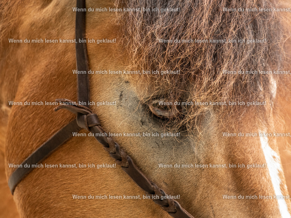 598A7937 | photographylinaismer - Realisiert mit Pictrs.com