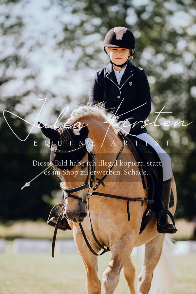 DSC_6877 | Pferde- und Turnierfotografie in Westsachsen. Pferdeportraits, Auftragszeichnungen und intuitive Kunst.