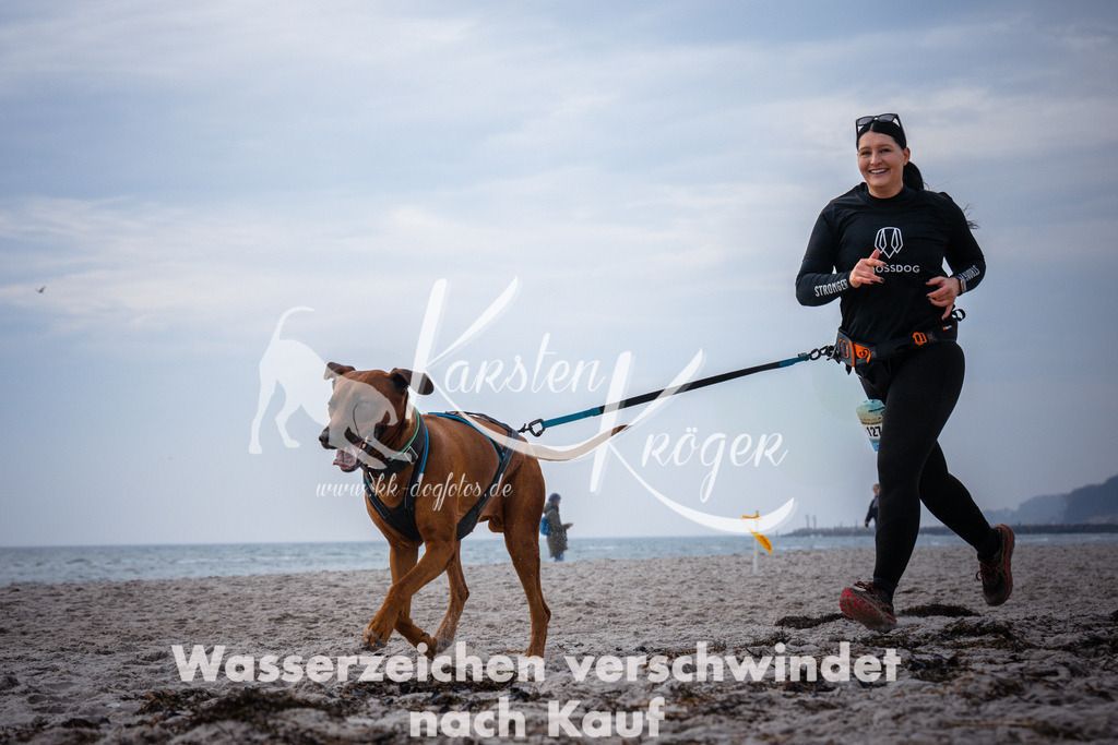 1042_ZZ96217 | kk-dogfotos