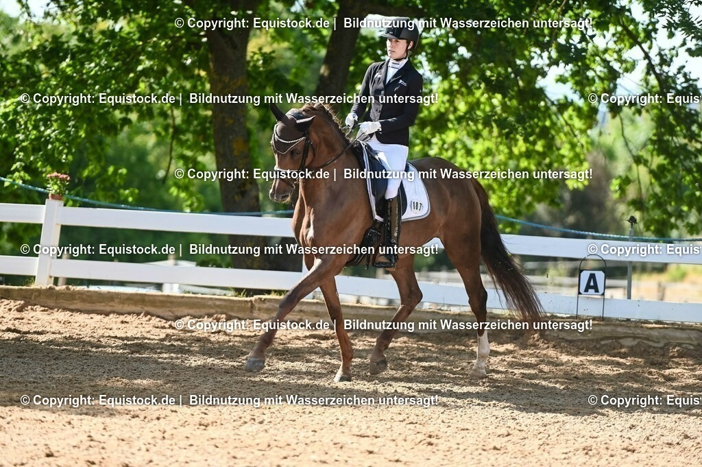 20230715_06_Dressurpferdeprfg. Kl.A_0413 | equistock