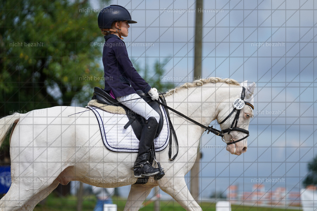 20230826-FAH05258 | Forstinning, 2023, Dressurturnier, Turniersportbilder, Turnierfotografen Bayern, Fotoagentur Herrmann, Reitsportfotografie, Turnierbilder