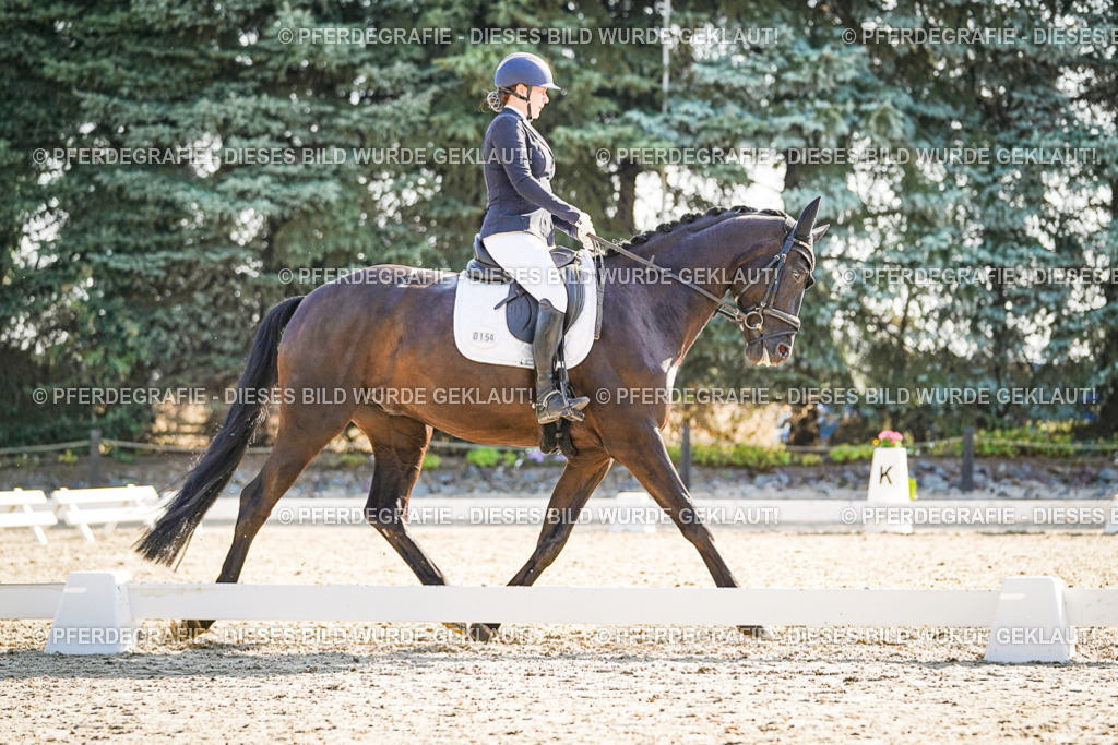 DSC09542 | Pferdegrafie