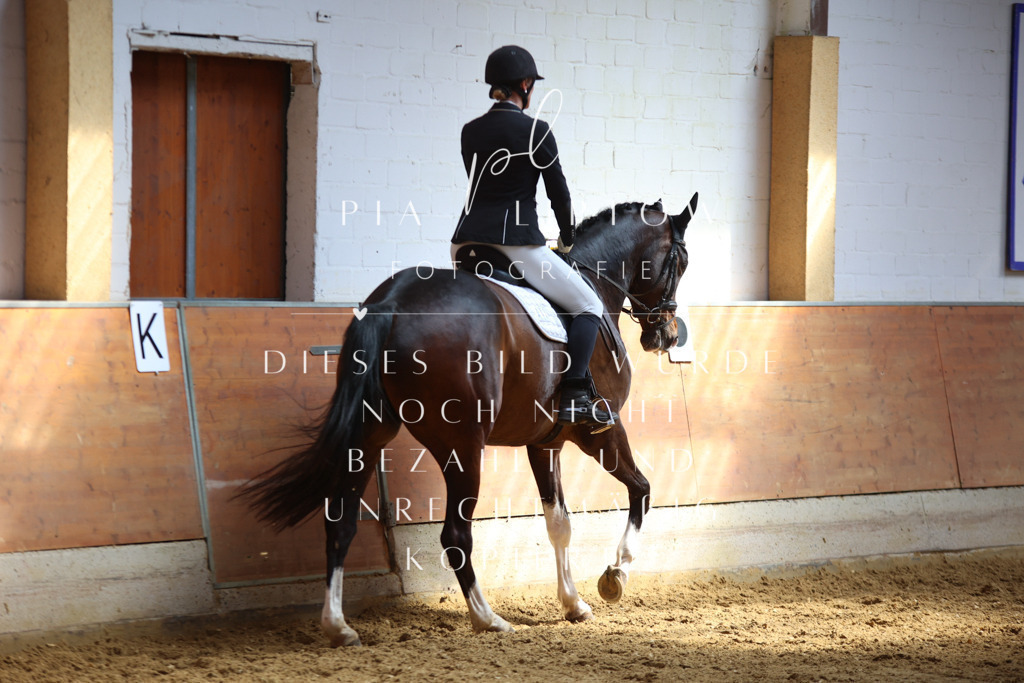 IMGT7551 | pl-fotografie