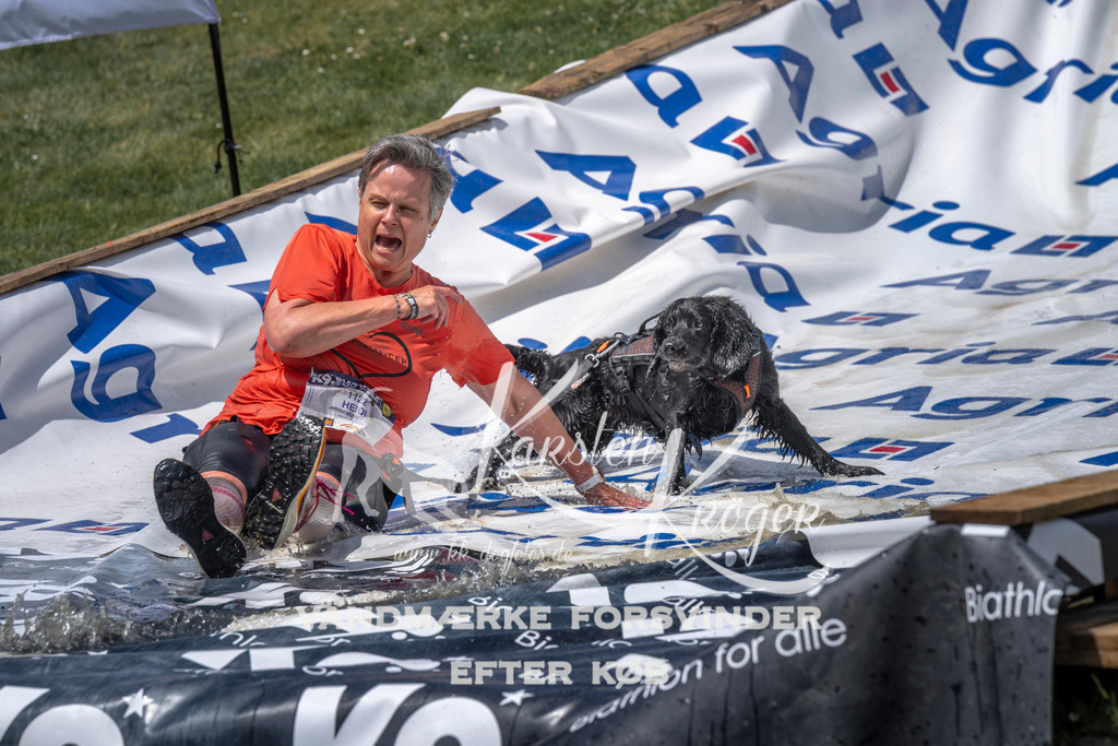 1218_ZZ96615 | kk-dogfotos