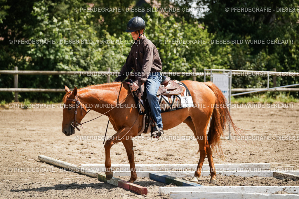 DSC07543 | Pferdegrafie