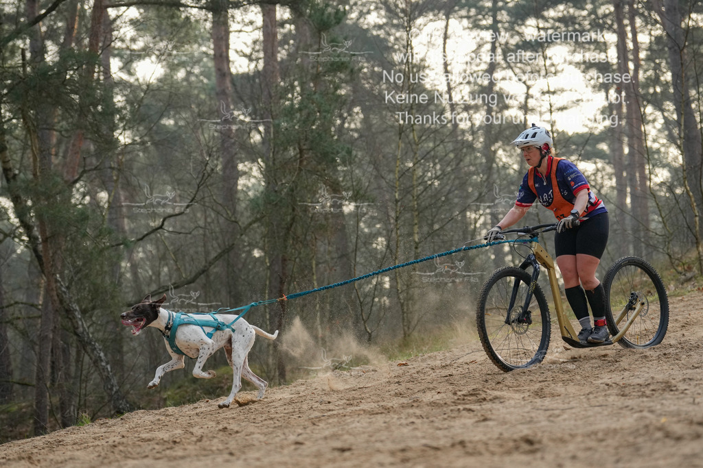 Scooter1-144 | stephaniefillaphotographie - Realisiert mit Pictrs.com