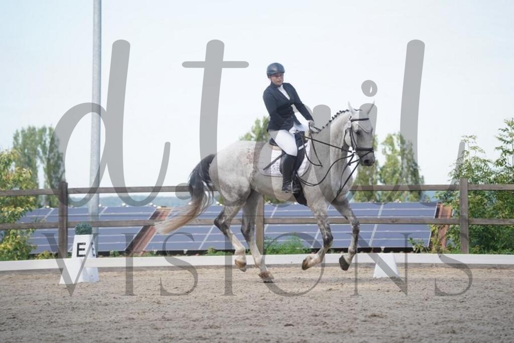 tgbhsamstag (506) | d.tail Visions - Shop - Realisiert mit Pictrs.com