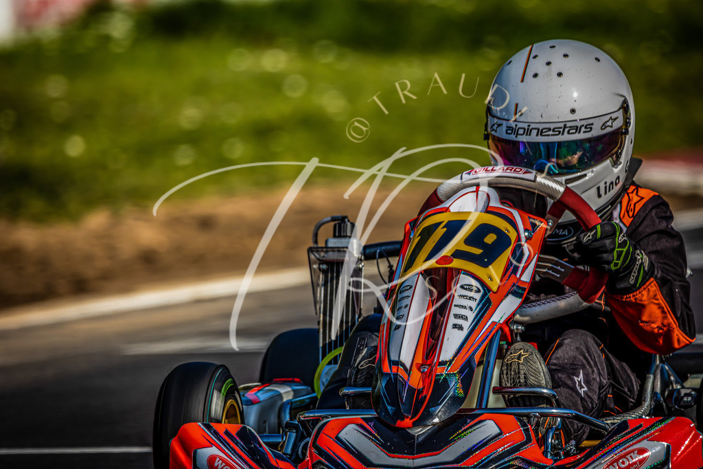 793A69FA-95E2-4AD7-B0F1-A119D6757875 | traudl_s_fotos