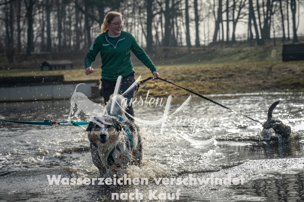0934_ZZ92416 | kk-dogfotos