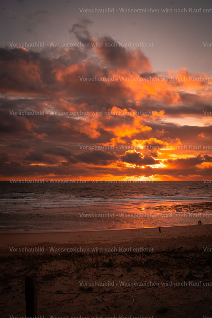 DSC01904 | marcuslinek