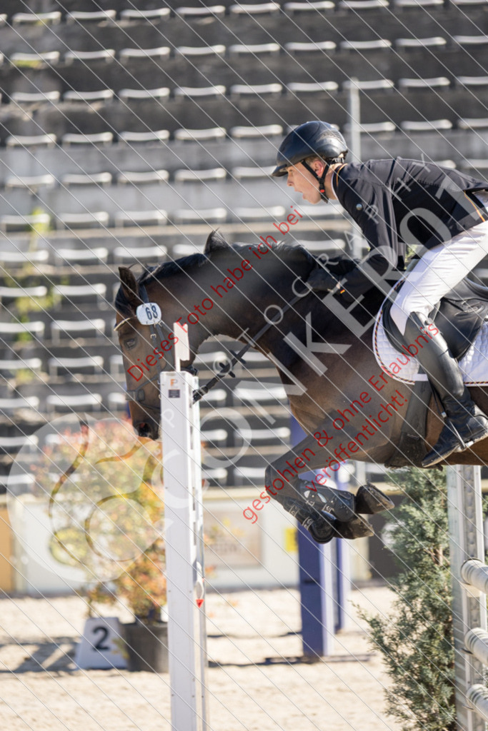 IMG_2942 | Sport-, Event- und Tierfotos in Profiqualität. Einfach auswählen, bestellen und herunterladen. Dein Moment – perfekt festgehalten.