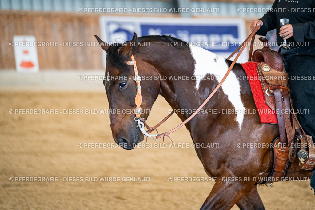 DSC09247 | Pferdegrafie