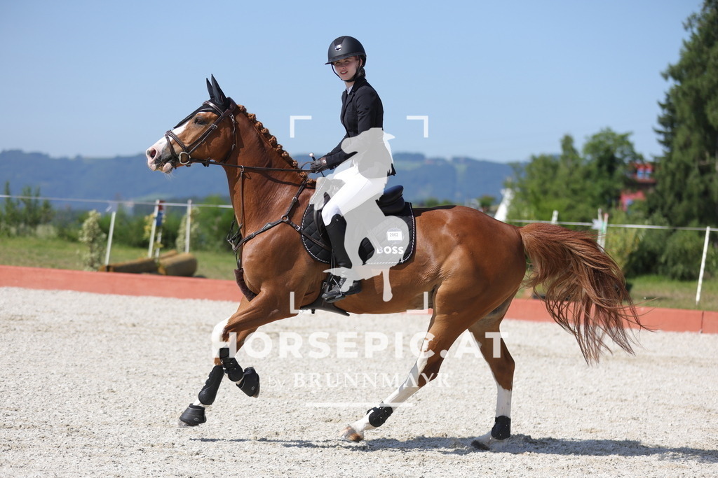 0P6A7891 | Willkommen bei Brunnmayr - Design & Fotografie – Ihrem Spezialisten für Reitturniere und Pferdeveranstaltungen in Oberösterreich, Salzburg und Bayern! Seit über 17 Jahren sind wir leidenschaftlich dabei.