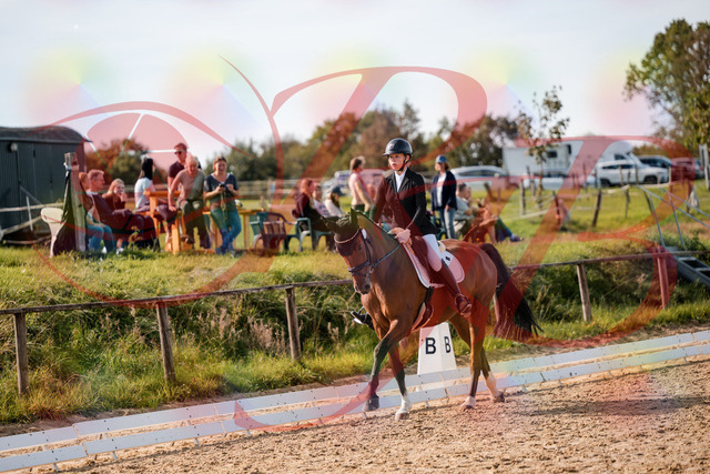 2026_10_03_Siefer-Hof_131714_Z63_79000156 | Professionelle Reitsport-, Turnier- und Eventfotografie von Robert Broda. Galerien mit ausgewählten und bearbeiteten Bildern direkt online ansehen und bestellen.