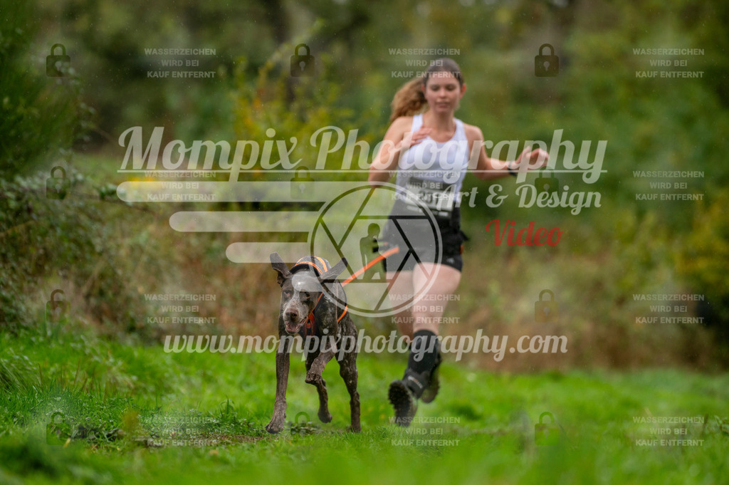 TSB_2023_E6_Canicross-135 | PayLife