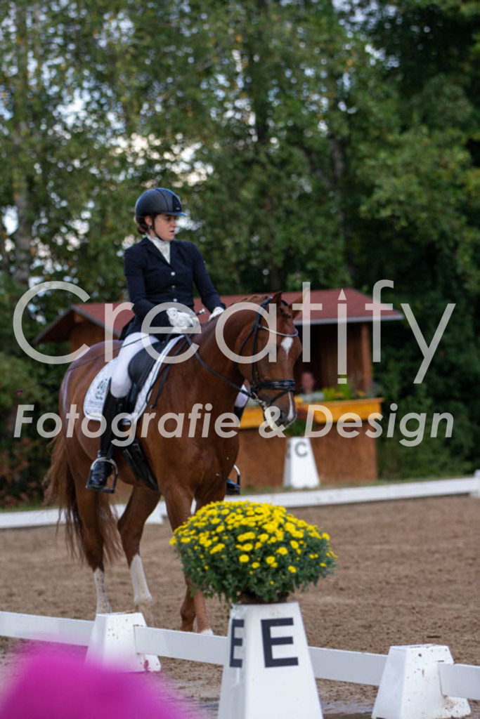 IMG_4190 | Creatify Fotografie