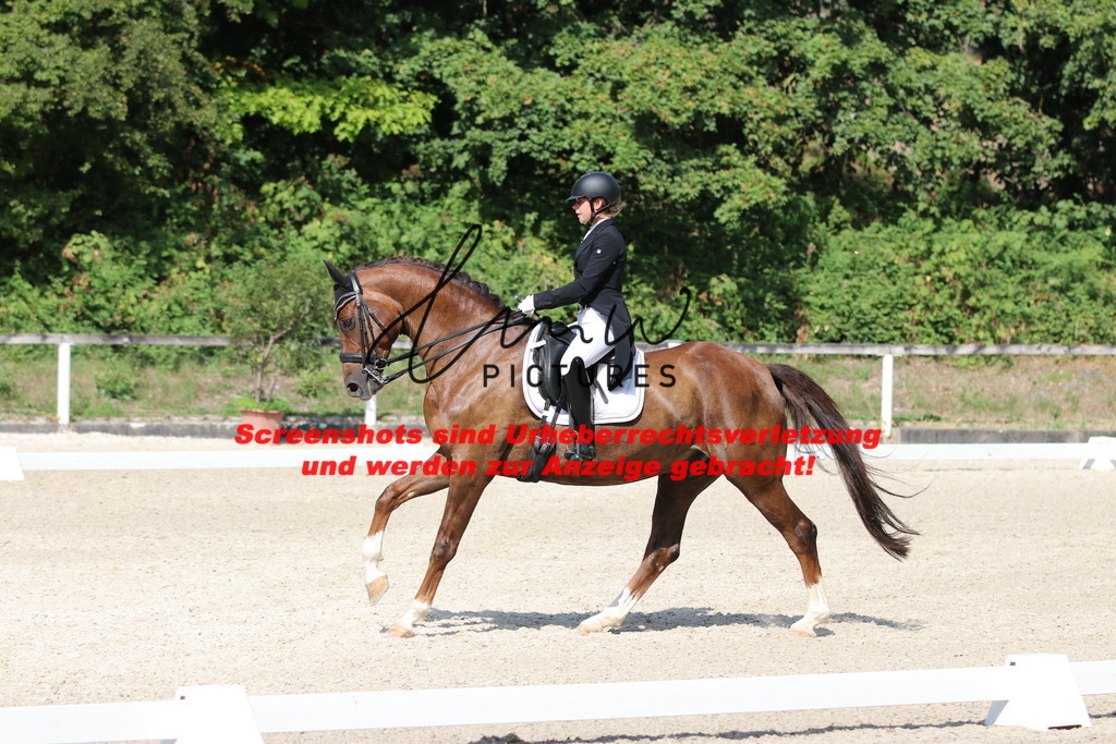 IMG_6864 | lmwpictures - Realisiert mit Pictrs.com