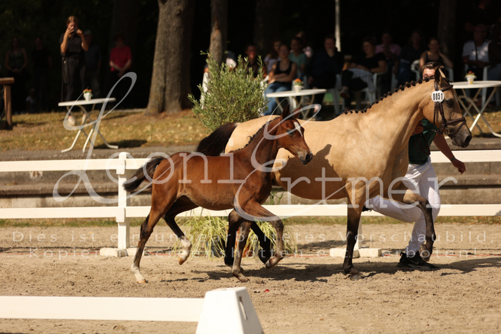 08.DoRPS00008 | Leoni Ertmer Photography - Realisiert mit Pictrs.com