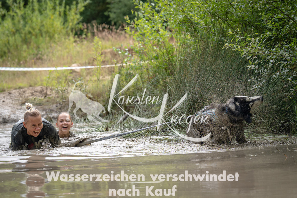 1458_ZZ94589 | kk-dogfotos