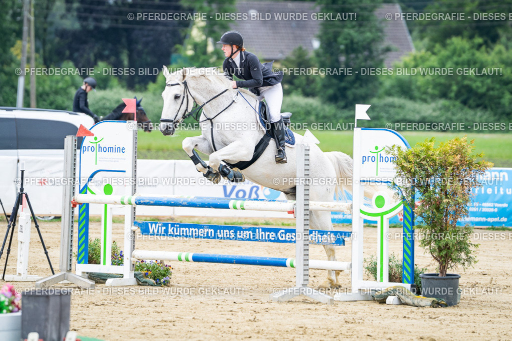 DSC03584 | Pferdegrafie