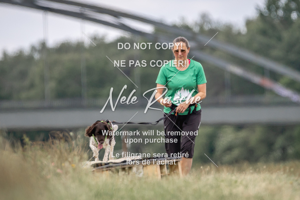 nelerasche_BuHu2026_SaCC1100-1200_63 | nelerasche