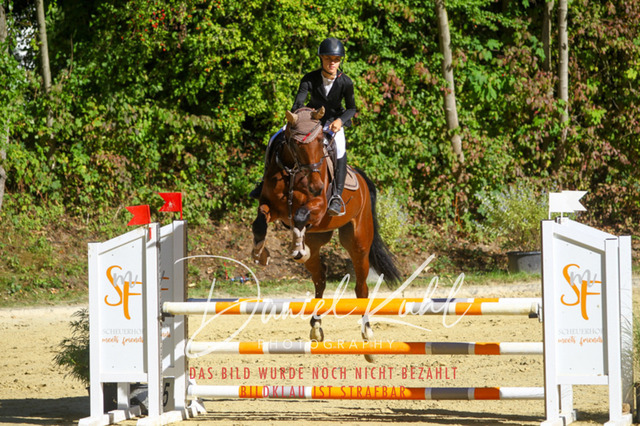 DKP42944 | Turniersportfotografie; Pferdefotografie; Dressurfotografie