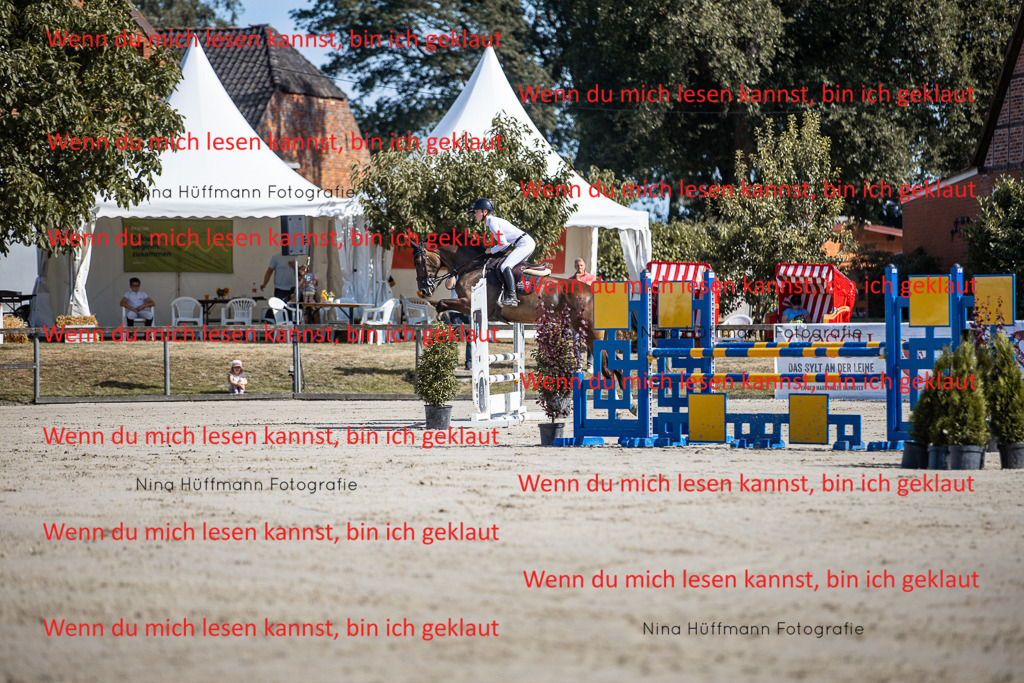 BK1A7034 | Turnierbilder Turnierfotos Nina Hüffmann Turnierfotografie Pferdefotografie Tierzeichnung Haustierzeichnung Pferdezeichnung Hundezeichnung Videograf  - Realisiert mit Pictrs.com