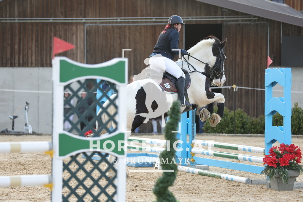 0P6A8919 | Willkommen bei Brunnmayr - Design & Fotografie – Ihrem Spezialisten für Reitturniere und Pferdeveranstaltungen in Oberösterreich, Salzburg und Bayern! Seit über 17 Jahren sind wir leidenschaftlich dabei.