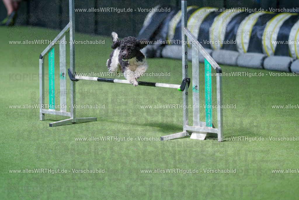 @allesWIRTHgut_Tierfotografie - www.allesWIRTHgut.de - 2604261339-7R502375 | Professionelle Tierfotografie in Mönchengladbach von Daniel Wirth (allesWIRTHgut). Liebevolle & natürliche Bilder von Hunden & Katzen für unvergessliche Erinnerungen.