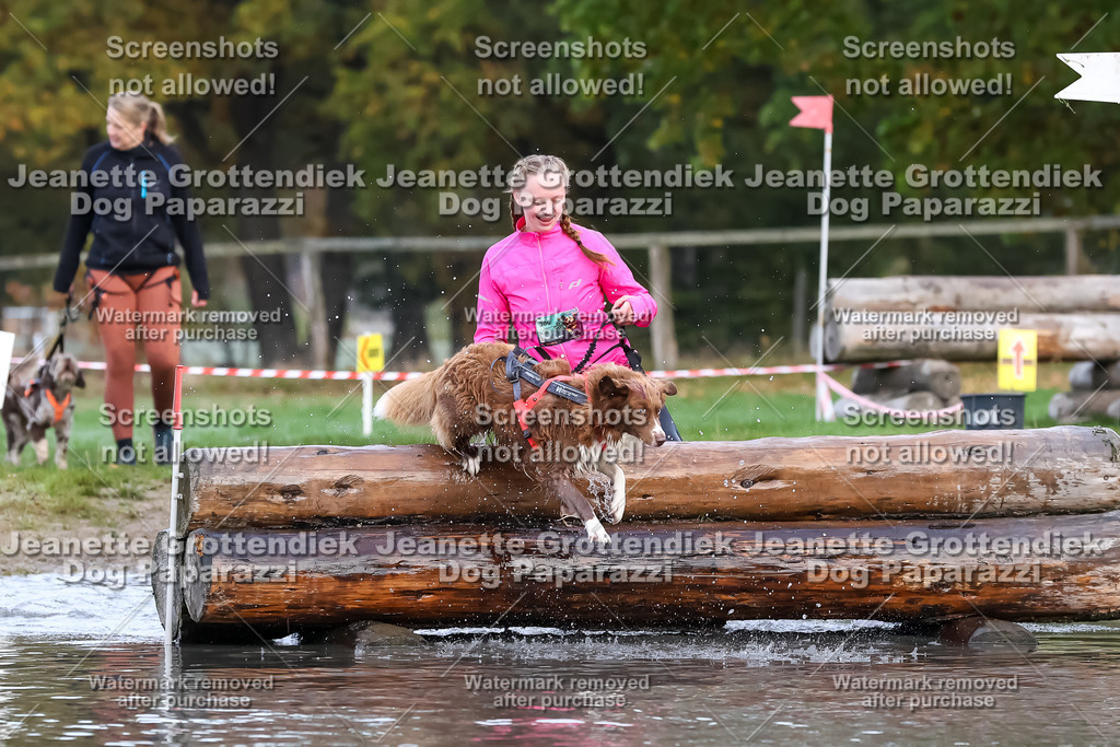 Dog Paparazzi - Strongdog 10-25-6475 | Dog Paparazzi Jeanette Grottendiek Fotografie & Videografie