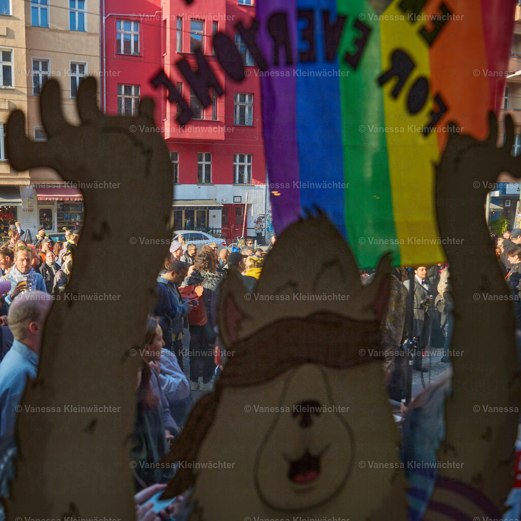 250506_TipsyBearSoli_05 | Vanessa Kleinwächter - Realisiert mit Pictrs.com