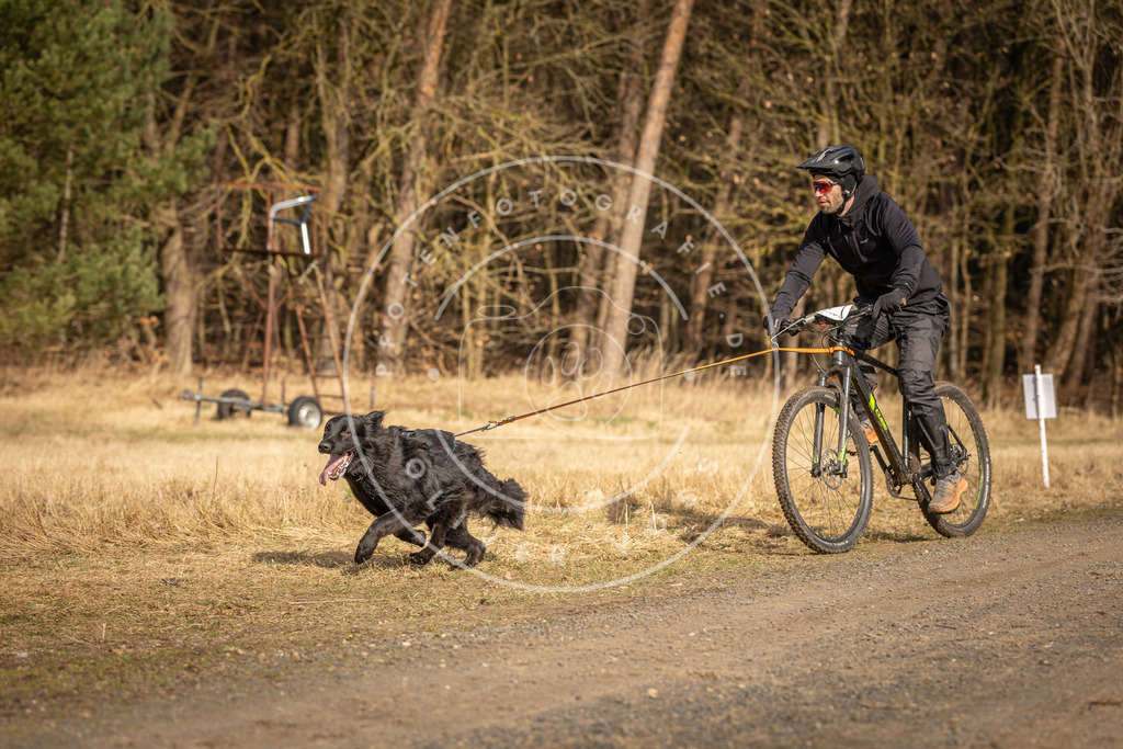 DV3A4400 | Hundefotografie, Tierfotograf, Pfotenfotografie, Fotoshooting Hund, Hunde Portrait, Hundesport, Hundeportraits, Heideshooting, Hunde, Sportfotograf, Hundefotograf, Turnierhundsport, THS,  - Realisiert mit Pictrs.com