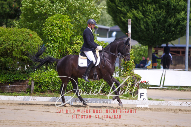 DKP40724 | Turniersportfotografie; Pferdefotografie; Dressurfotografie