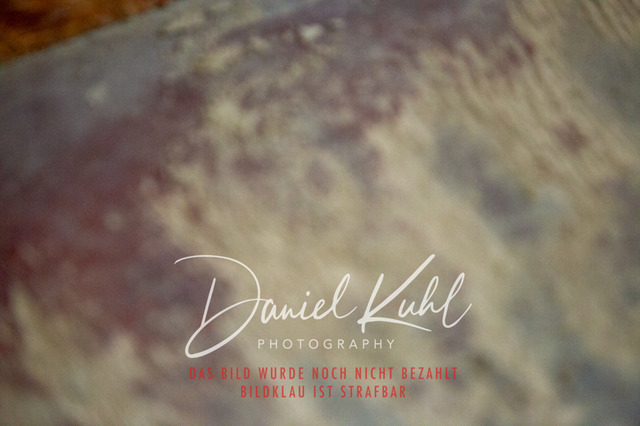 IMG_1938 | Turniersportfotografie; Pferdefotografie; Dressurfotografie