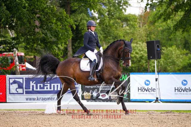 DKP41366 | Turnierfotos kaufen im Webshop von Daniel Kuhl Photography – entdecke professionelle Reitsportfotos aus Turnieren & Events. Hochwertige Turnierbilder online bestellen & sichern. Jetzt Fotos von Reitsportturnieren kaufen!