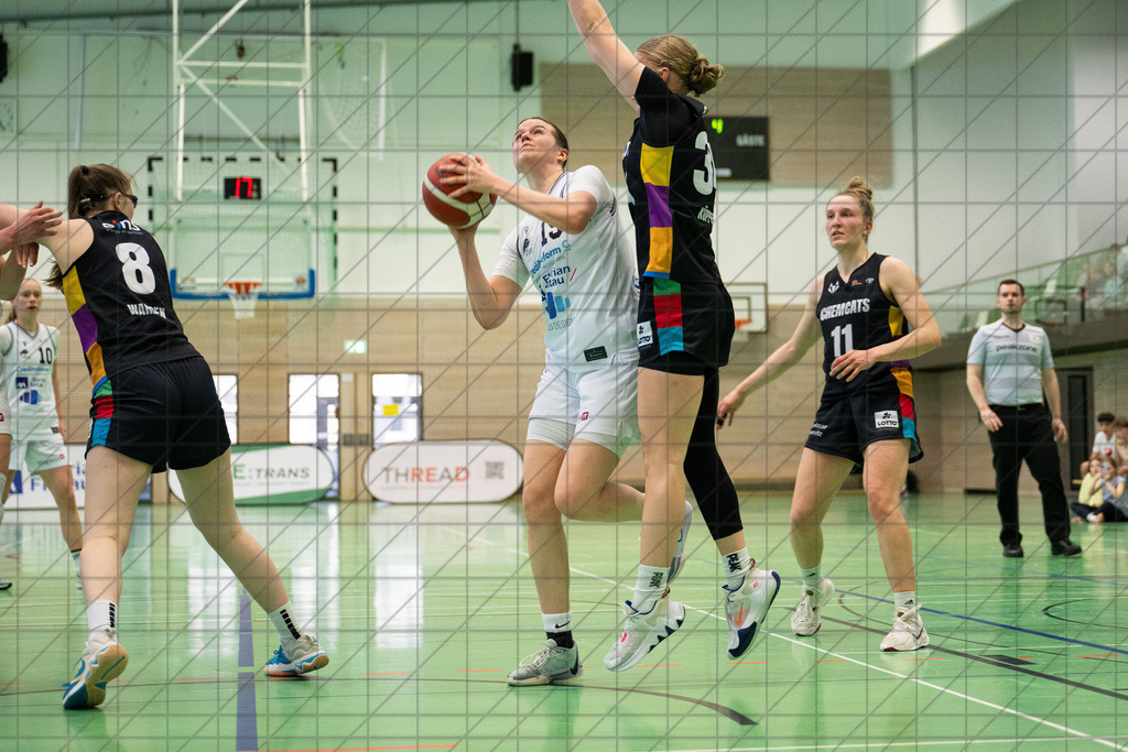 2. DBBL Nord 24/25 | 09.03.2025 | BBC OS vs. ChemCats Chemnitz | 2. DBBL Nord 24/25 | 09.03.2025 | BBC OS vs. ChemCats Chemnitz - - - - - CREDIT, www.bullenfotos.de, Martin König, Hörner Weg 40, D-49078 Osnabrück, +4917663732967, Nutzung und Weitergabe nur zu den vereinbarten Zwecken. Presseanfragen an Urheber. Alle Rechte beim Urheber. - - - - - - Realisiert mit Pictrs.com