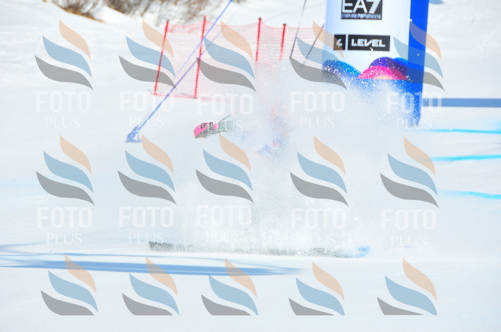 DSC_0655 | holidayphoto