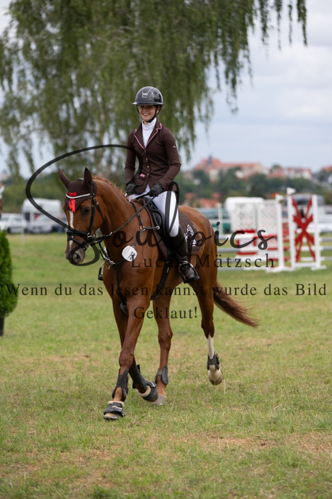 A7V05605 | Turnier/Reitfotograf