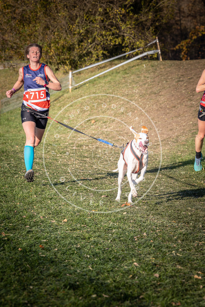 CaniXpix_0L8A9578 | Hundefotografie, Tierfotograf, Pfotenfotografie, Fotoshooting Hund, Hunde Portrait, Hundesport, Hundeportraits, Heideshooting, Hunde, Sportfotograf, Hundefotograf, Turnierhundsport, THS,  - Realisiert mit Pictrs.com