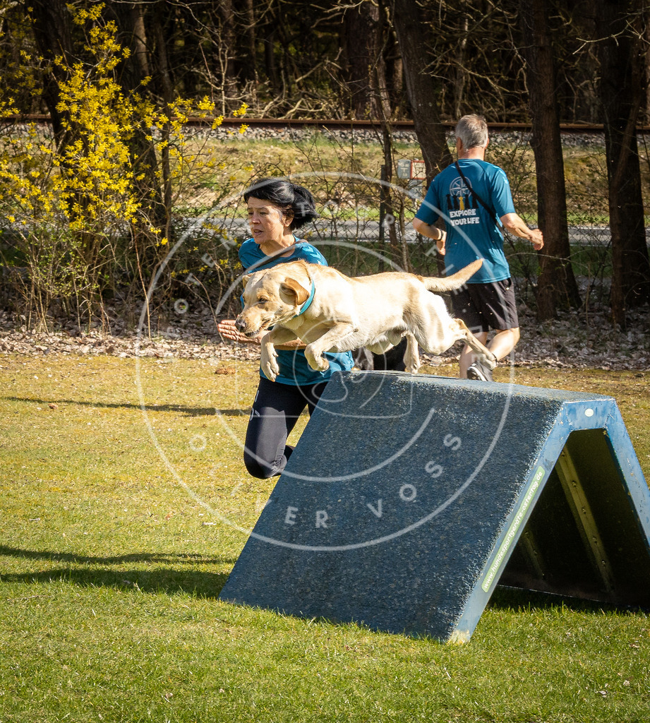 Pfotenfotografie_DV3A1597 | Hundefotografie, Tierfotograf, Pfotenfotografie, Fotoshooting Hund, Hunde Portrait, Hundesport, Hundeportraits, Heideshooting, Hunde, Sportfotograf, Hundefotograf, Turnierhundsport, THS,  - Realisiert mit Pictrs.com