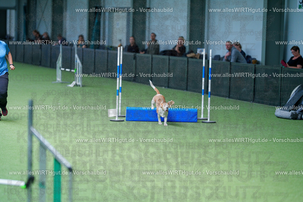@allesWIRTHgut_Tierfotografie - www.allesWIRTHgut.de - 2604261221-7R500751 | Professionelle Tierfotografie in Mönchengladbach von Daniel Wirth (allesWIRTHgut). Liebevolle & natürliche Bilder von Hunden & Katzen für unvergessliche Erinnerungen.