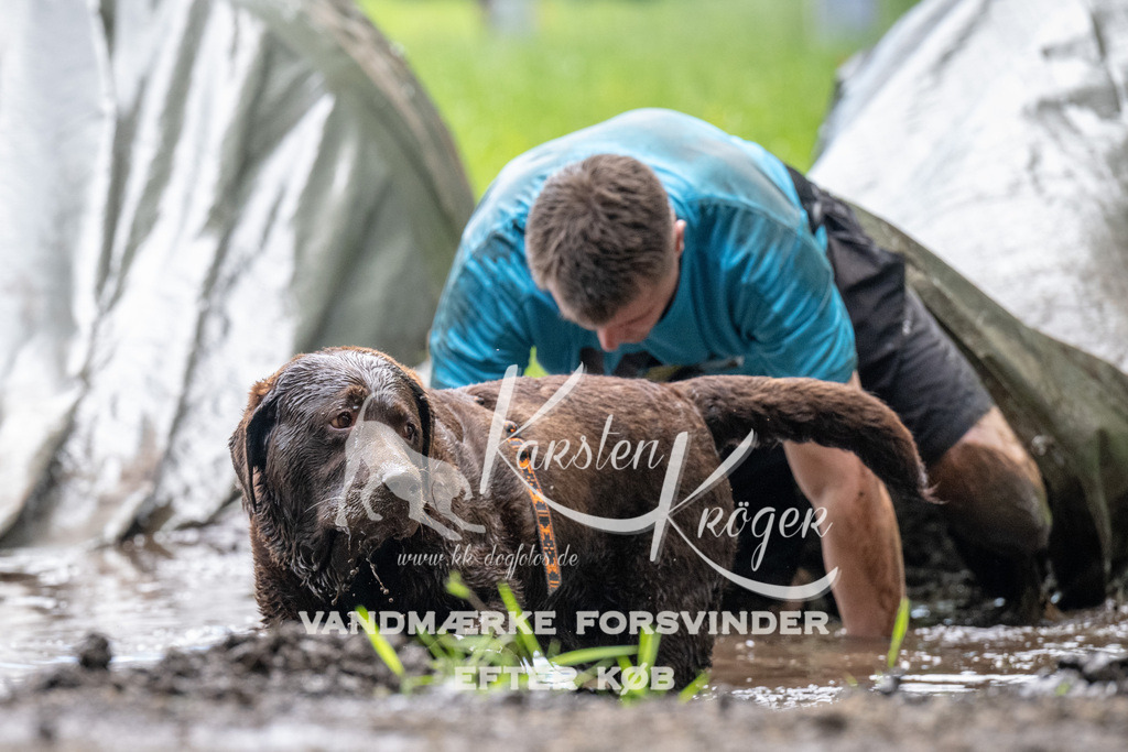 1119_ZZ92386 | kk-dogfotos