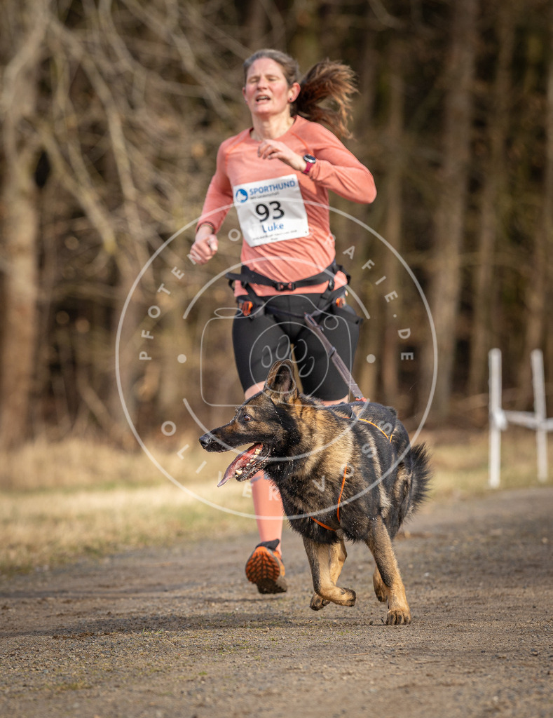 DV3A3991 | Hundefotografie, Tierfotograf, Pfotenfotografie, Fotoshooting Hund, Hunde Portrait, Hundesport, Hundeportraits, Heideshooting, Hunde, Sportfotograf, Hundefotograf, Turnierhundsport, THS,  - Realisiert mit Pictrs.com